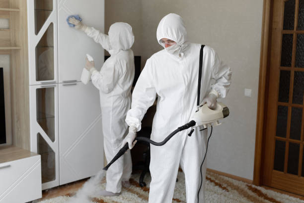 Mold Testing and Removal in Festus, MO